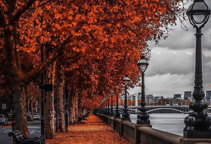 https://ru.pinterest.com/pin/464644886552881152/