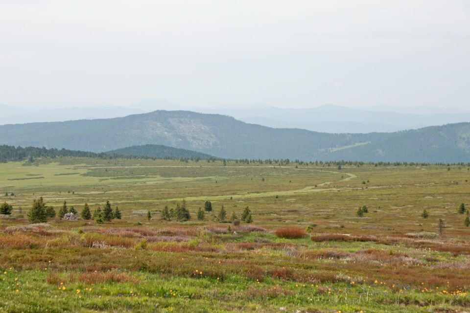    Гора Сарлык, июнь 2025. Источник: Олег Укладов