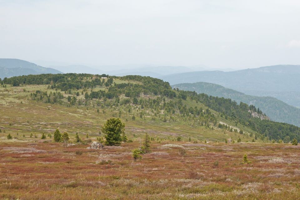    Гора Сарлык, июнь 2025. Источник: Олег Укладов