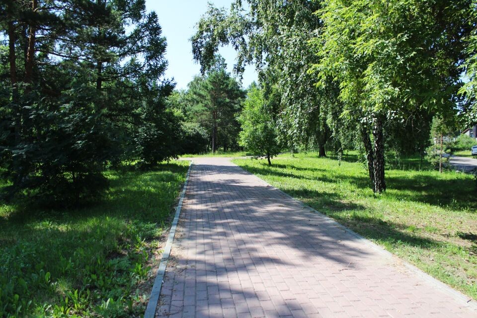    Аллея Ветеранов ВОВ в Барнауле. Июнь 2025 года. Источник: Евгения Кочеткова