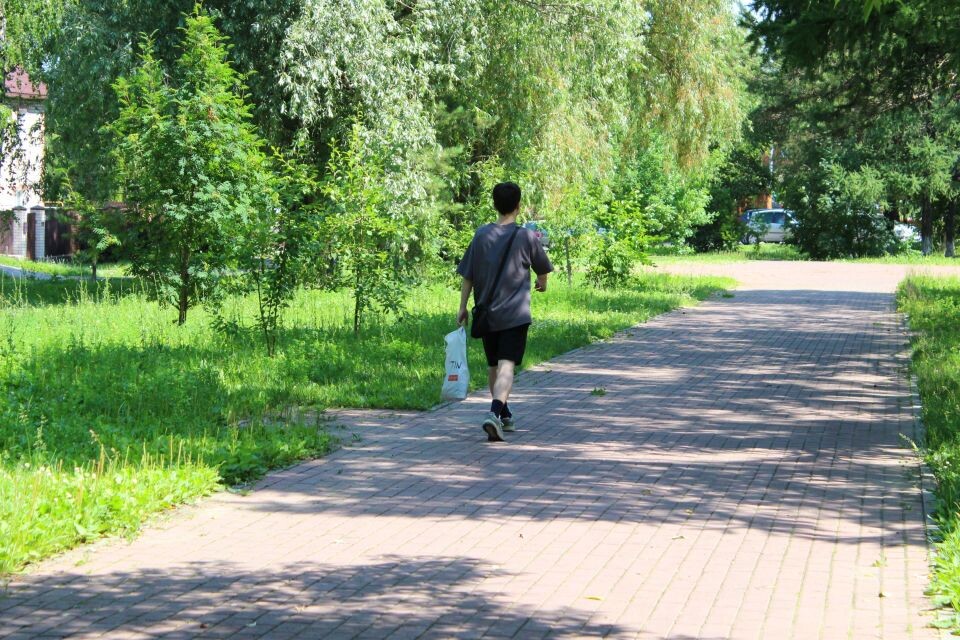    Аллея Ветеранов ВОВ в Барнауле. Июнь 2025 года. Источник: Евгения Кочеткова