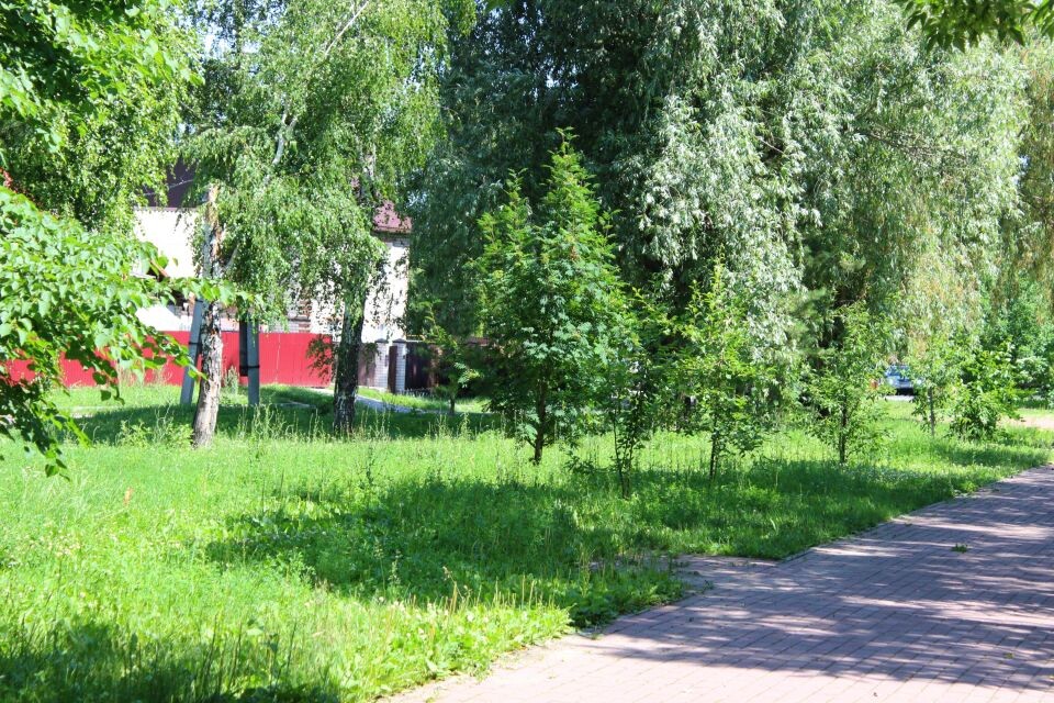    Аллея Ветеранов ВОВ в Барнауле. Июнь 2025 года. Источник: Евгения Кочеткова