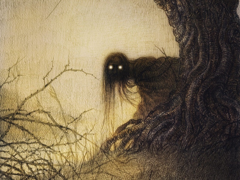 Банши или Женщина из Ши. Она же Бледная Фейри