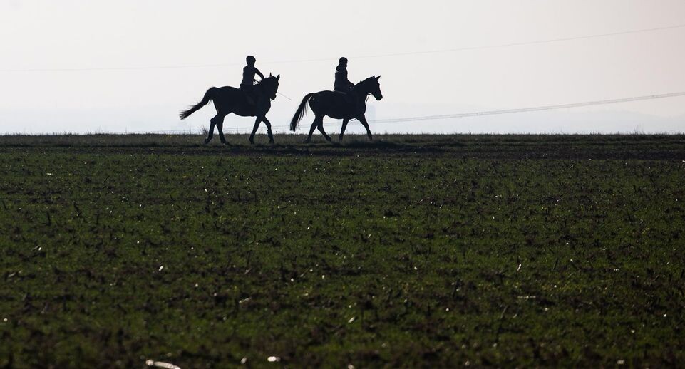    Frank Rumpenhorst/dpa / www.globallookpress.com
