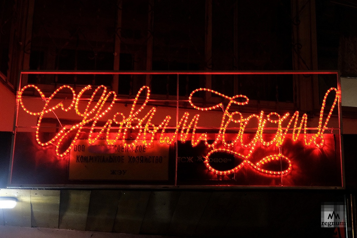    С Новым годом! / Источник: Наталья Стрельцова © ИА REGNUM