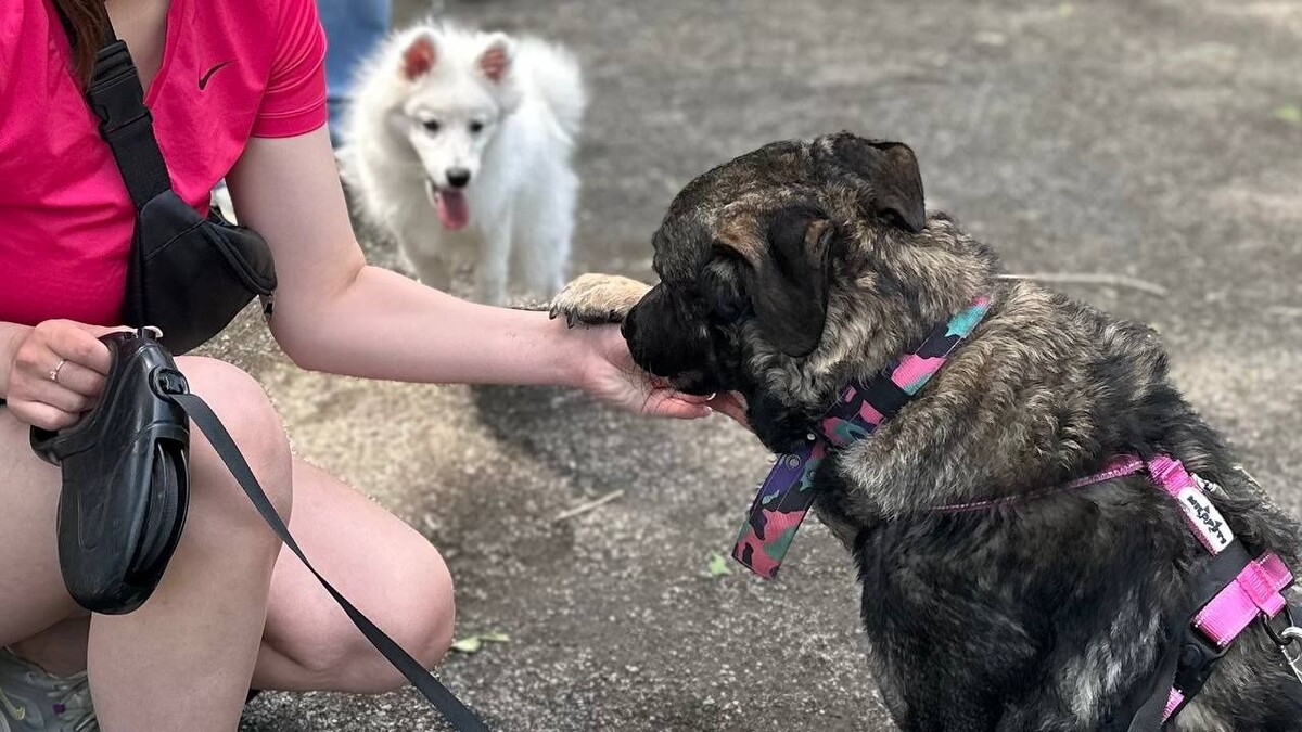     Автор: Дарья Лисовская Источник: vostokmedia.com