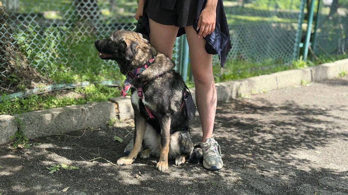     Автор: Дарья Лисовская Источник: vostokmedia.com