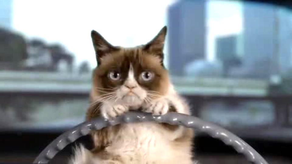  да чтоб вас всех