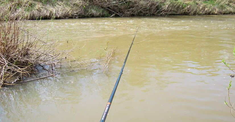 Рыбалка в мутной воде на речке. Источник фото stihi.ru