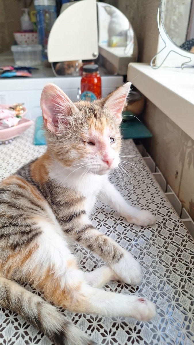 такой крошкой Хадижа нашла Габи на улице