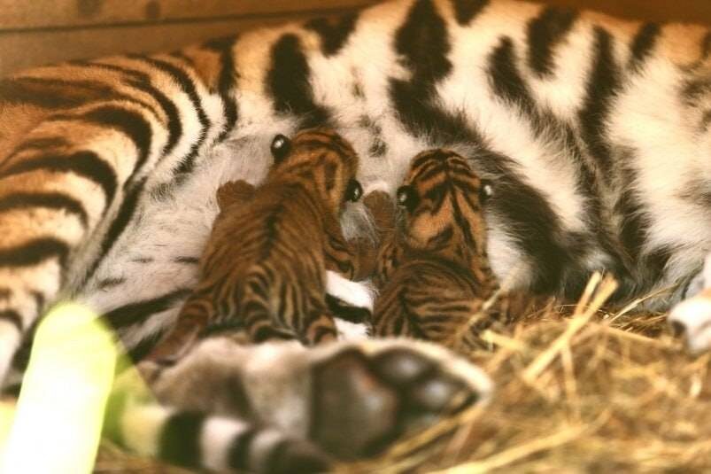    Источник фото: Екатерина Зотова