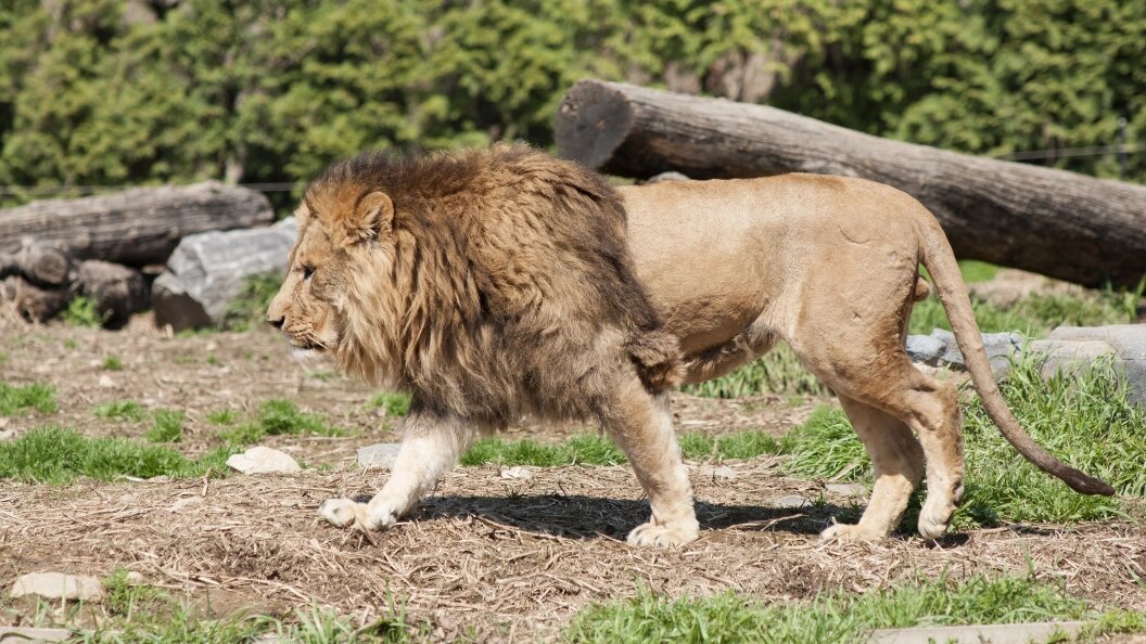    Фото: Aleksey Smyshlyaev/Globallookpress