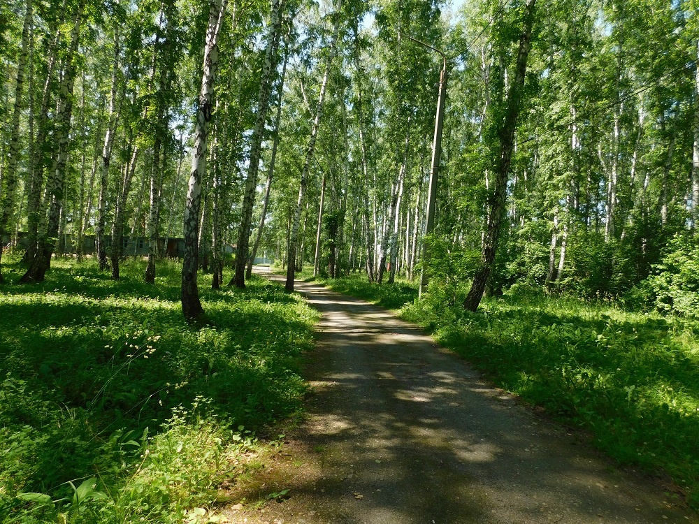    Фотография Анны Зубаревой