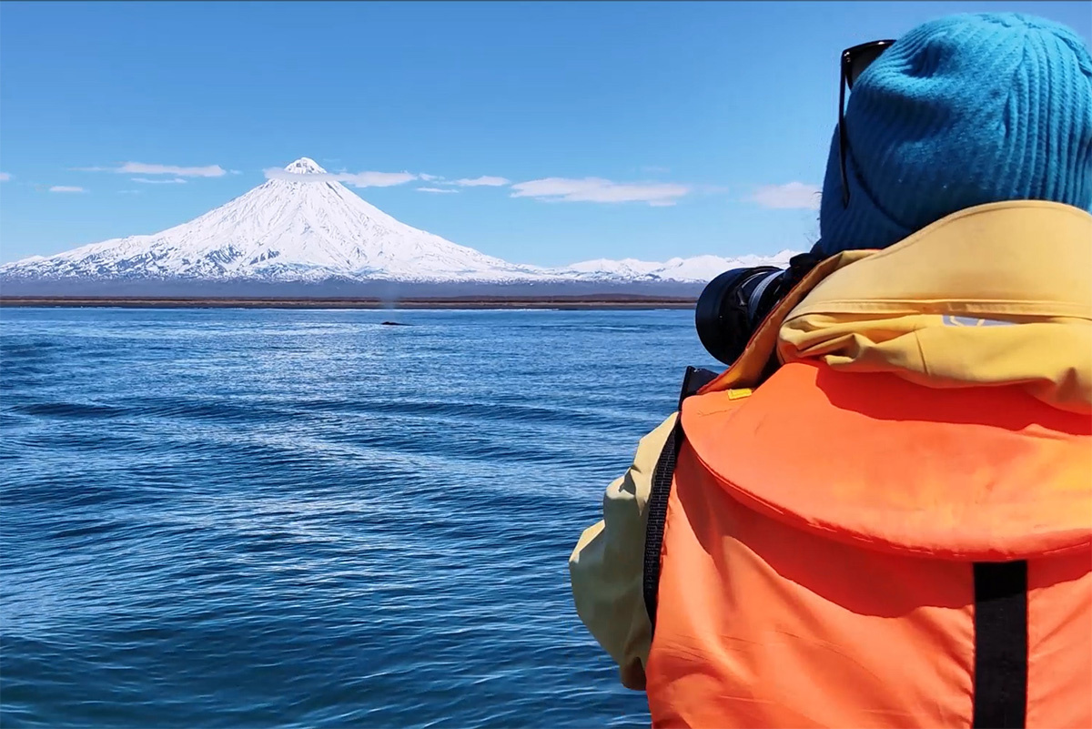 Фото: Киты в Кроноцком заливе на Камчатке / Кроноцкий заповедник