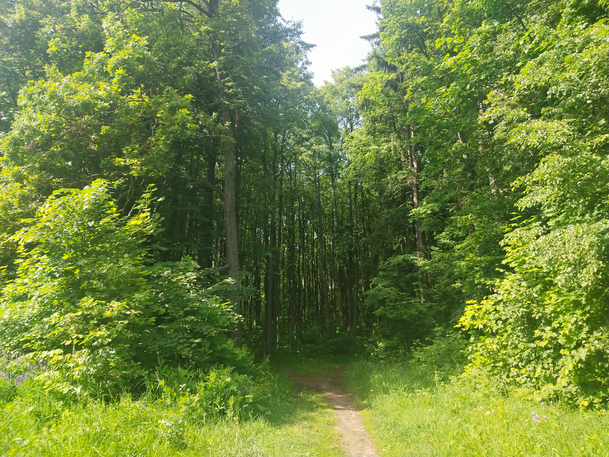 Личное фото