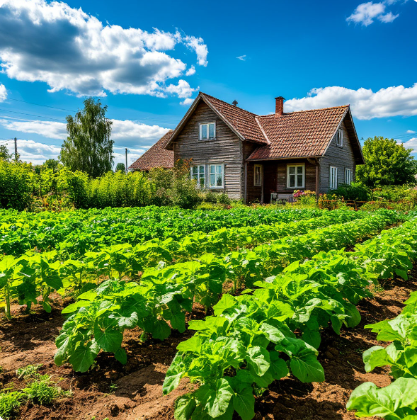 Создано нейросетью. Фоток новых нет, не снимала на даче. Просто некогда было ходить с смартфоном. Он лежал на столе на втором этаже в комнате.