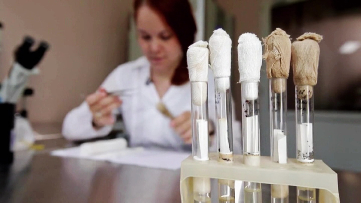    Около 350 нефтеюганцев обратились в больницу с укусами клещей