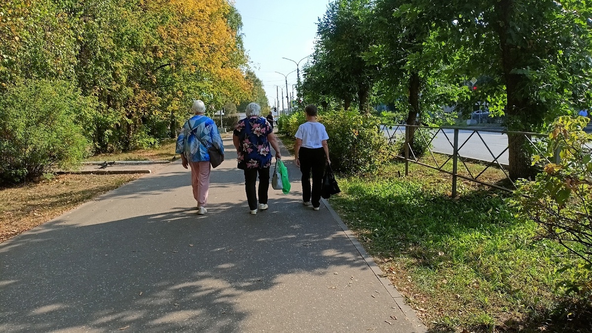    Пенсионерам рекомендуют в срочном порядке оформить новые выплаты: деньги уже выдают