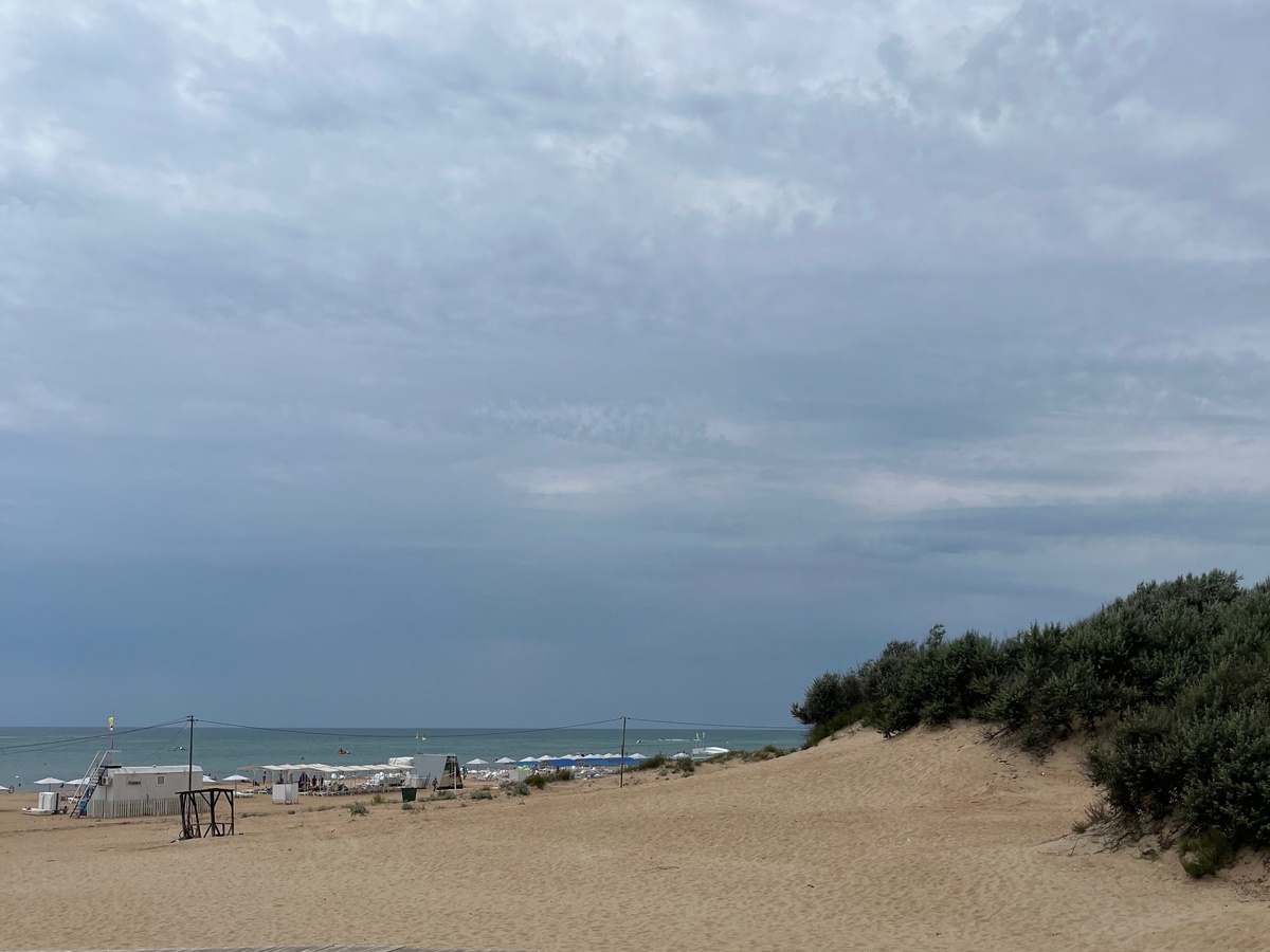    Туристы на Черном море честно рассказали о тревожных наблюдениях. И речь не про цены и мазут