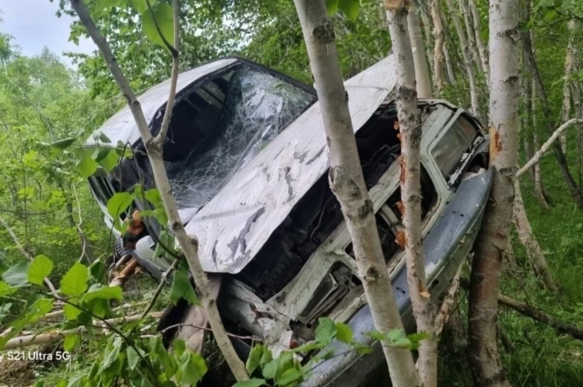    Водитель без прав опрокинул машину в кювет на Камчатке