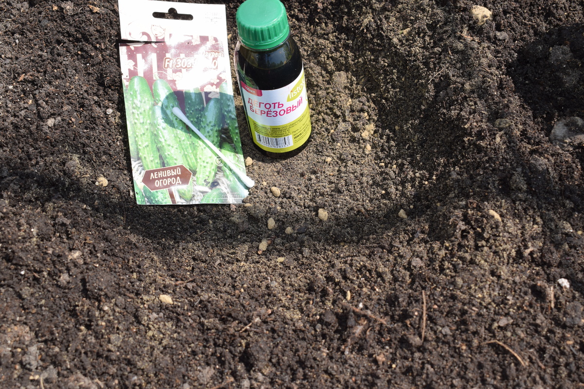 все что мне понадобится для защиты всходов(фото автора)