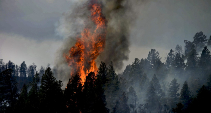 Забайкалье разгорелось с новой силой / фото: Pxhere.com