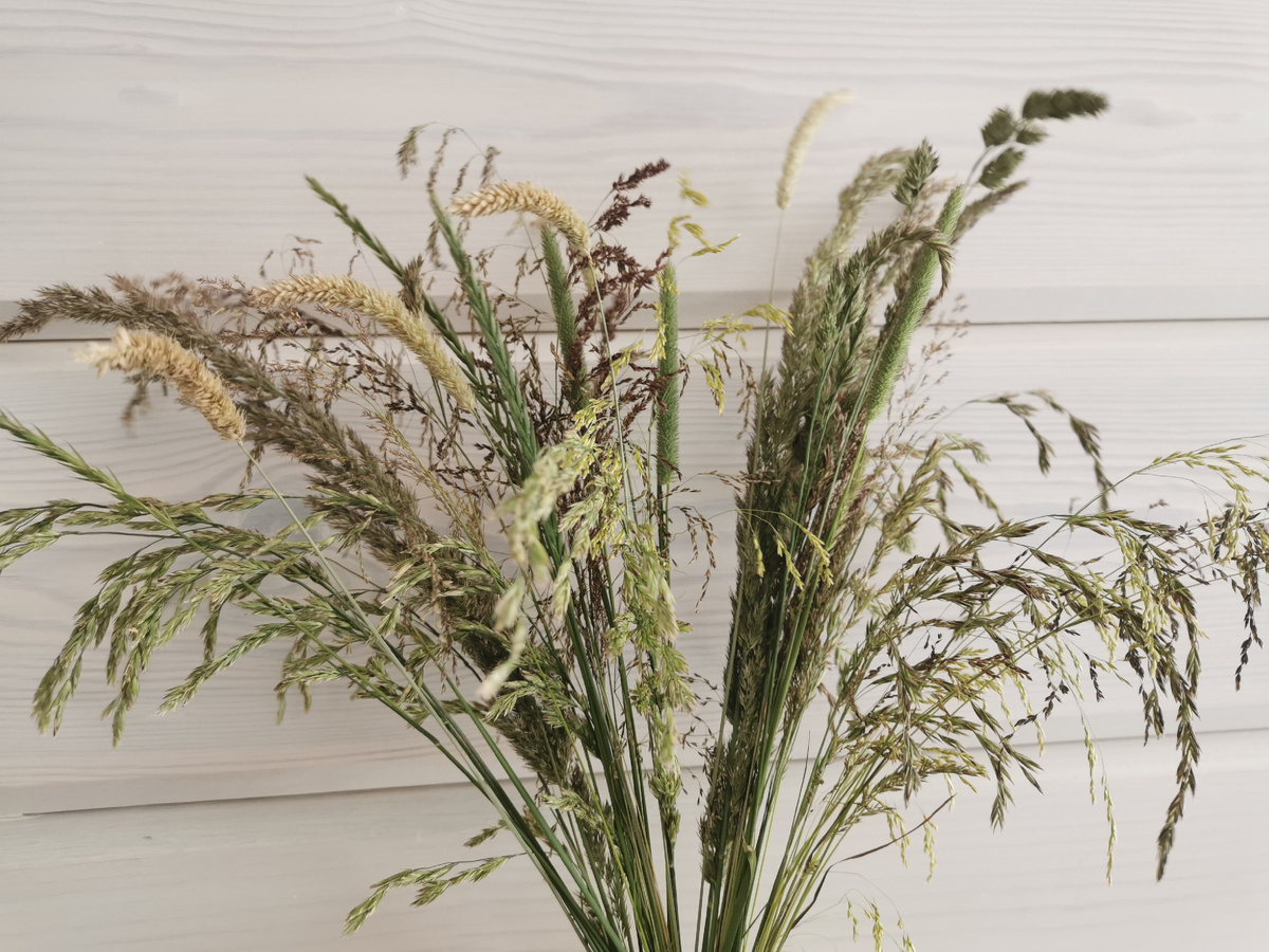 Ассортимент дикоросов