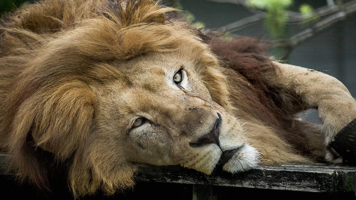    Фото: Shutterstock