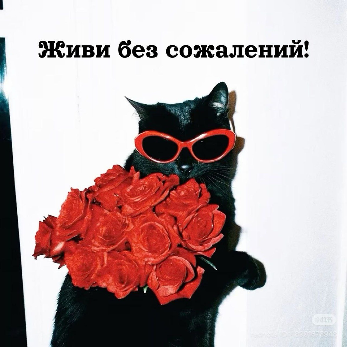 всем нужна поддержка)