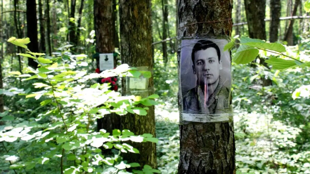 Изображение взято с сайта https://cdn.thecollector.com/wp-content/uploads/2021/11/Kommunarka-memorial.jpg?width=1360&quality=55