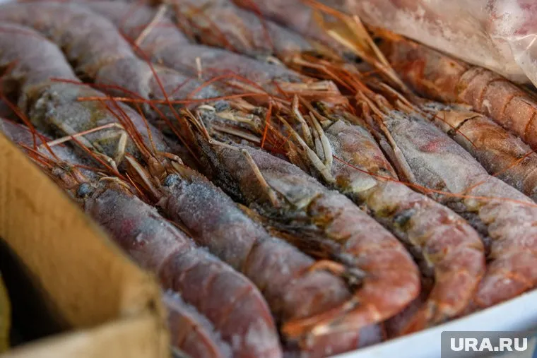 Пермским инвесторам предлагали вложиться в производство рыбных деликатесов
Фото: Илья Московец © URA.RU