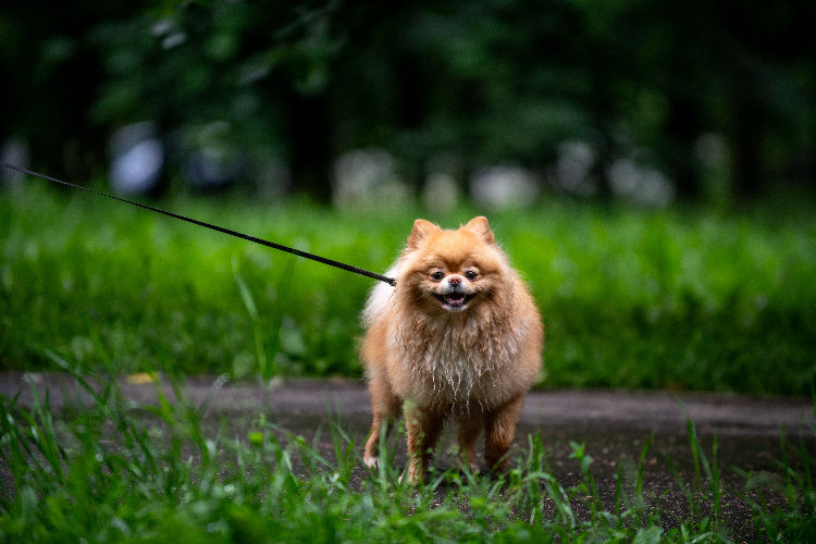    Фото: Юлия Федотова
