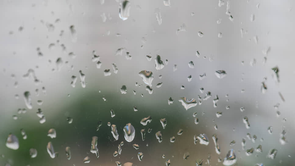 Фото: Олег Харсеев / Коммерсантъ