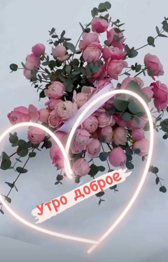 Скрин сделан автором статьи 