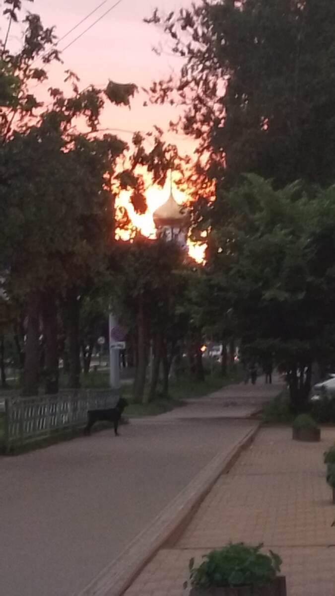 Фотография сделана автором 