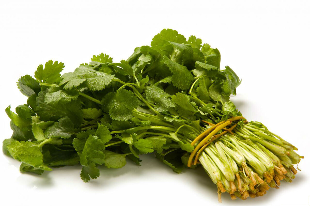 Фото: Кинза 100г. Доставка овощей и фруктов Фреш лавка freshlavka.com