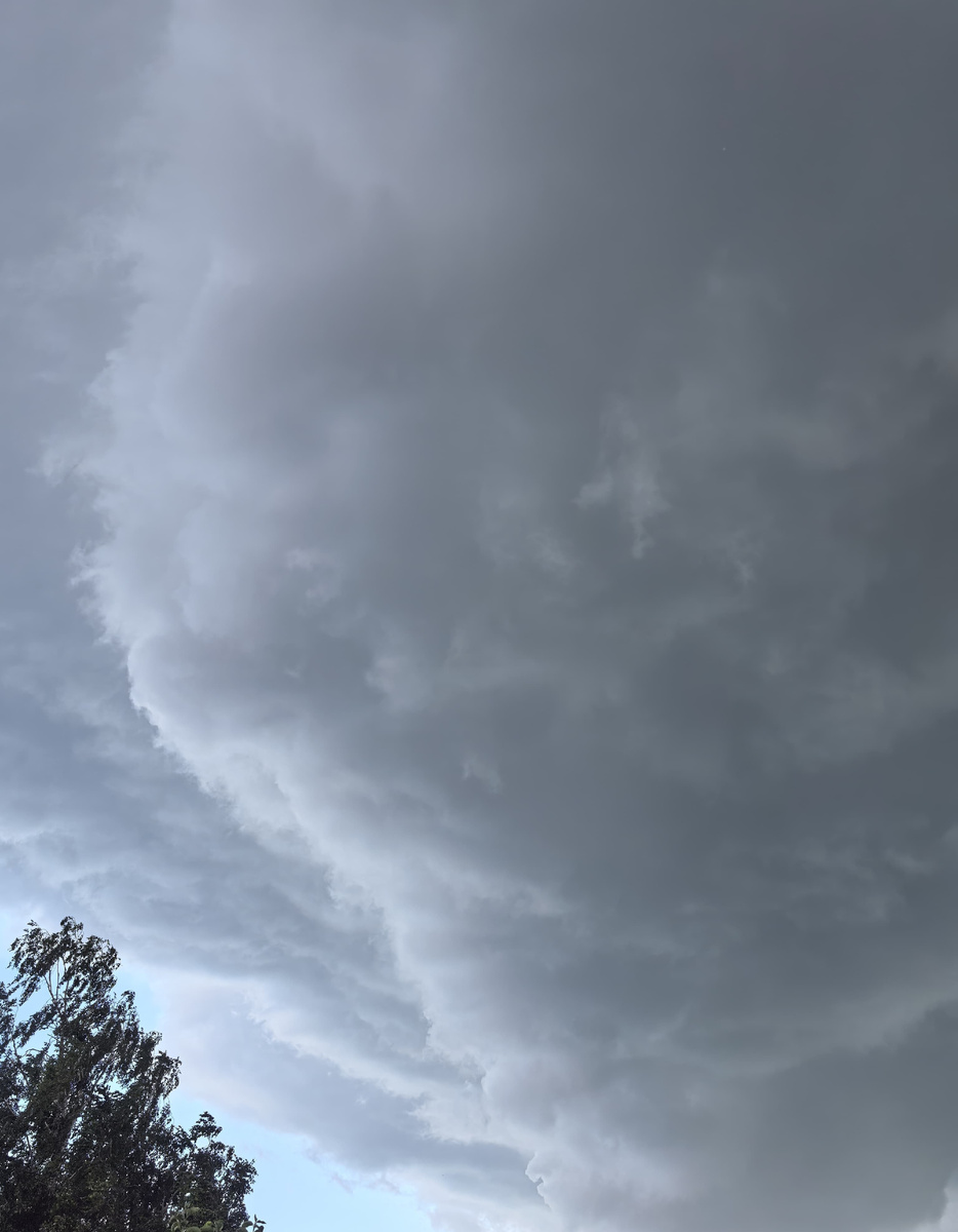 Скоро дождь