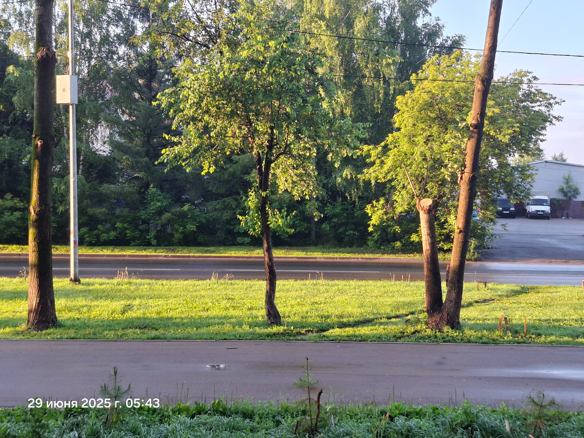 На улице светит солнышко, сразу настроение поднялось🤗. С утра 13 градусов. Днем будет 20 градусов, самая моя любимая погода, главное чтоб не было дождя.