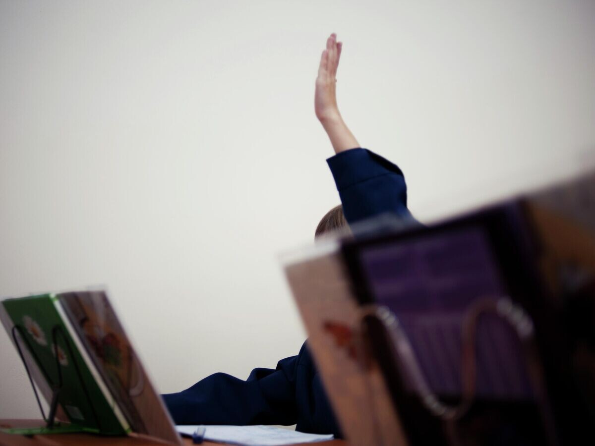    Ученик во время урока© РИА Новости / Антон Уницын