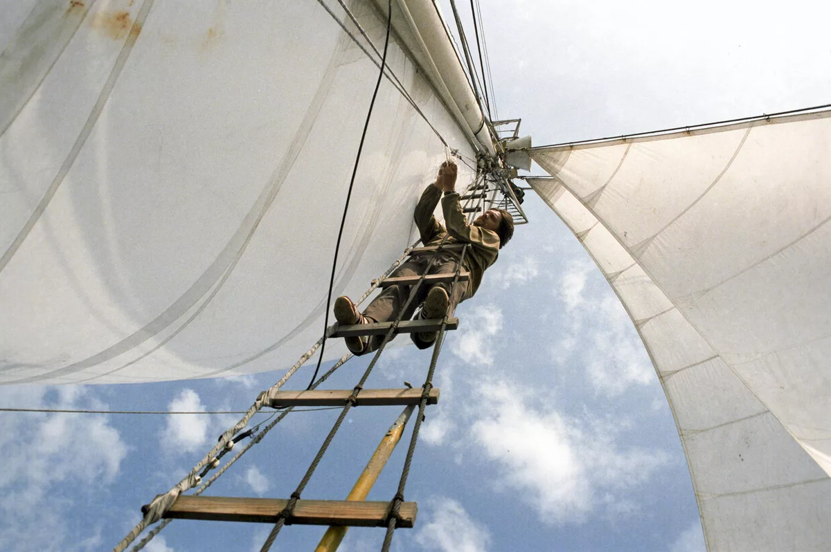 © Sputnik / Валерий Матыцын
