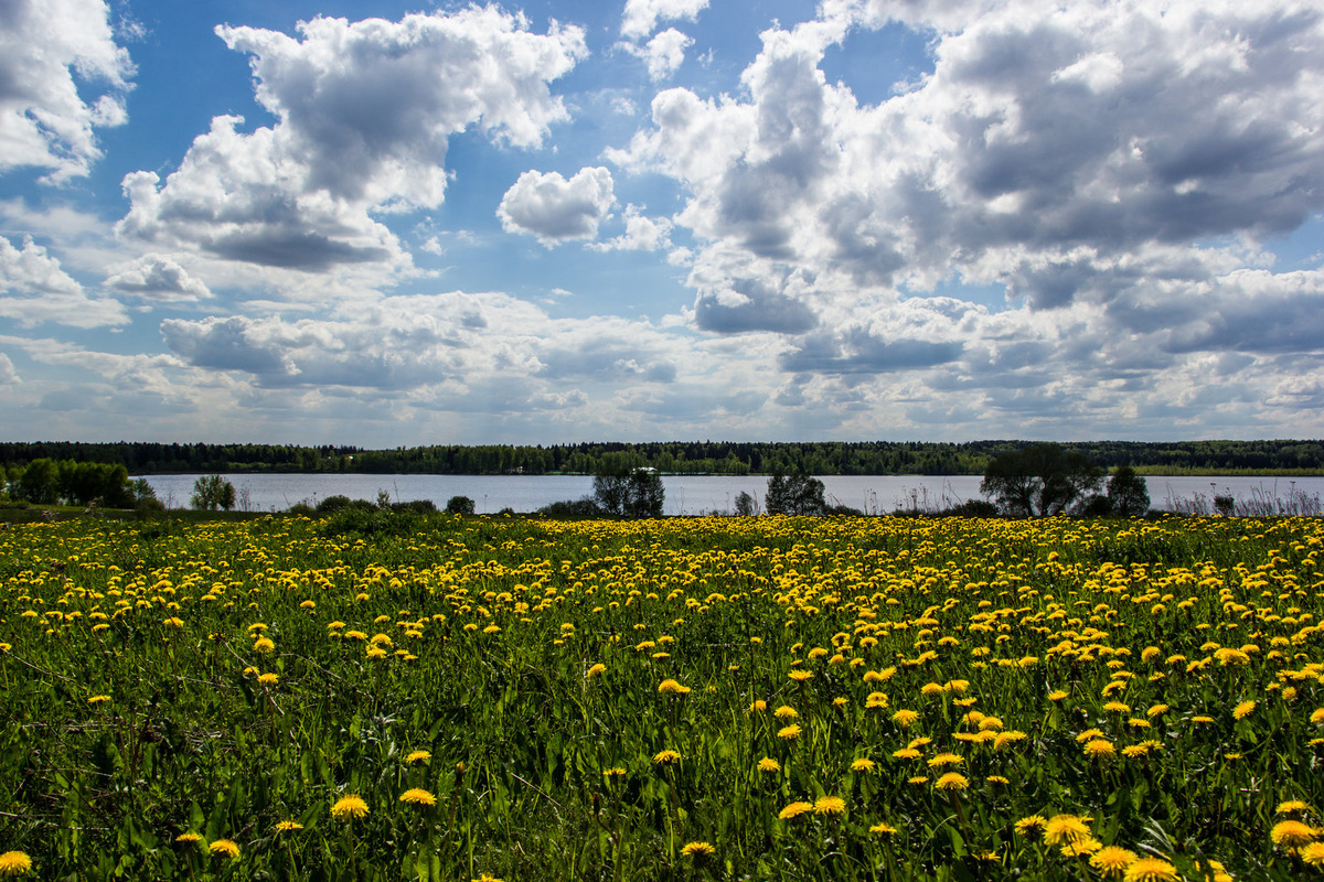 Озеро Круглое. Фото: Яндекс карты. Автор: Евгений Ш.