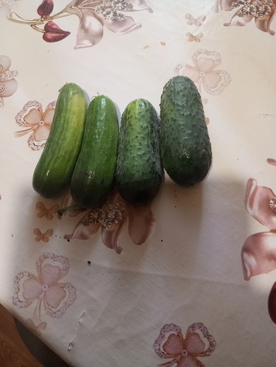 Сегодня уже побольше