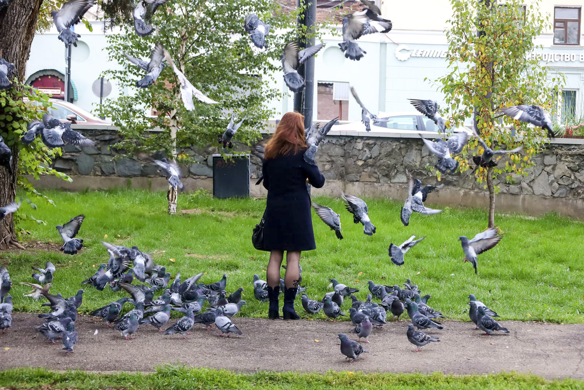 Свердловчанам придется временно сменить летнюю одежду на осеннюю.  Фото: ФедералПресс / Елена Майорова