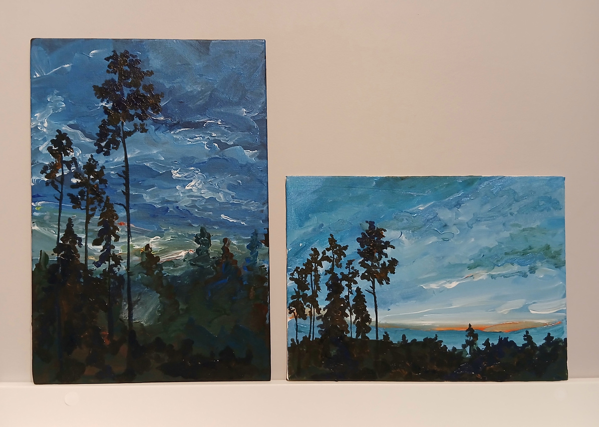 Белая ночь и еле уловимая заря, которая пролетела как всышка