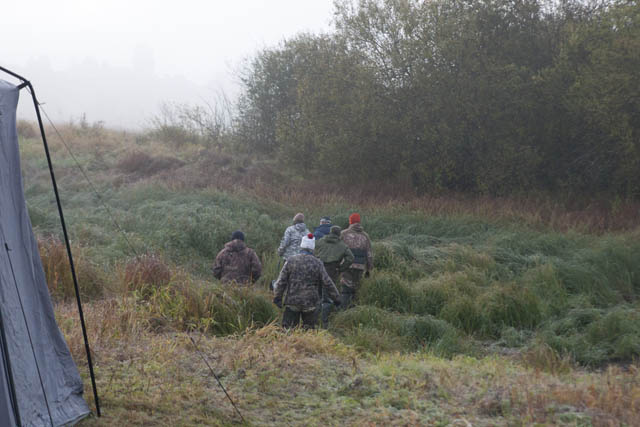 Эксперты и участники 