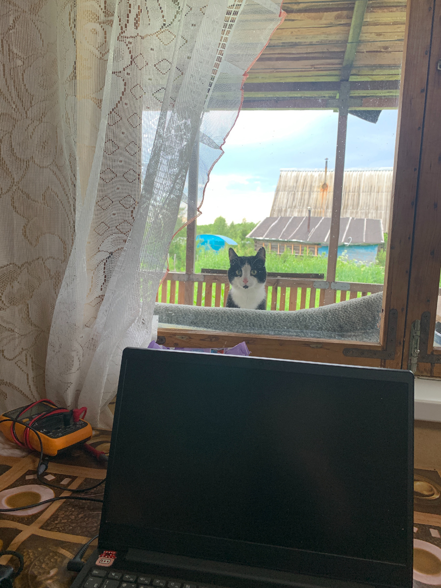 Странные на первый взгляд случайности никогда не случайны. Он пришёл ко мне в самый нужный момент. Долго смотрел на меня и я смотрел на него - мы общались первые 5 минут без слов, немо рассказали друг другу о своих радостях, событиях, первой любви, детстве и сотворении мира. 