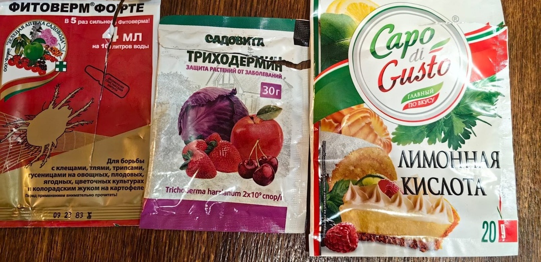 Профилактическая обработка баковой смесью «Фитоверм + Триходермин» – как защитить растения до появления проблем