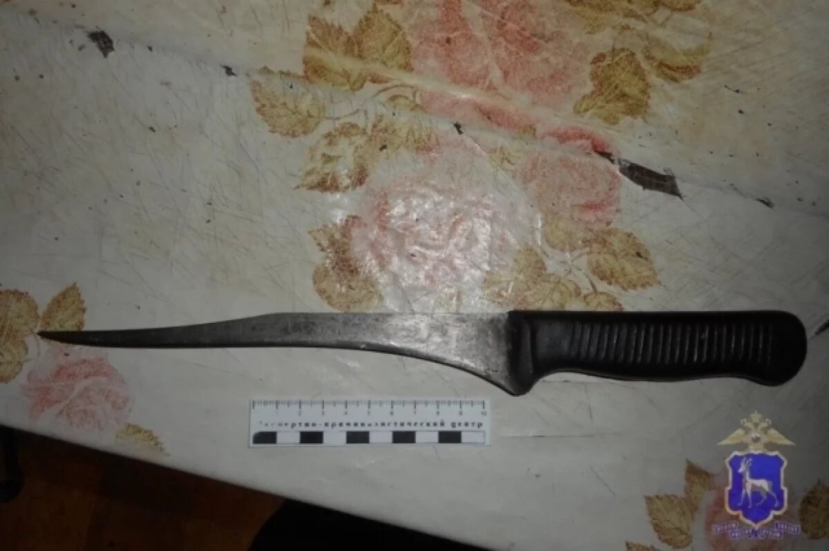    Жительница Самарской области ударила ножом родственницу за замечание