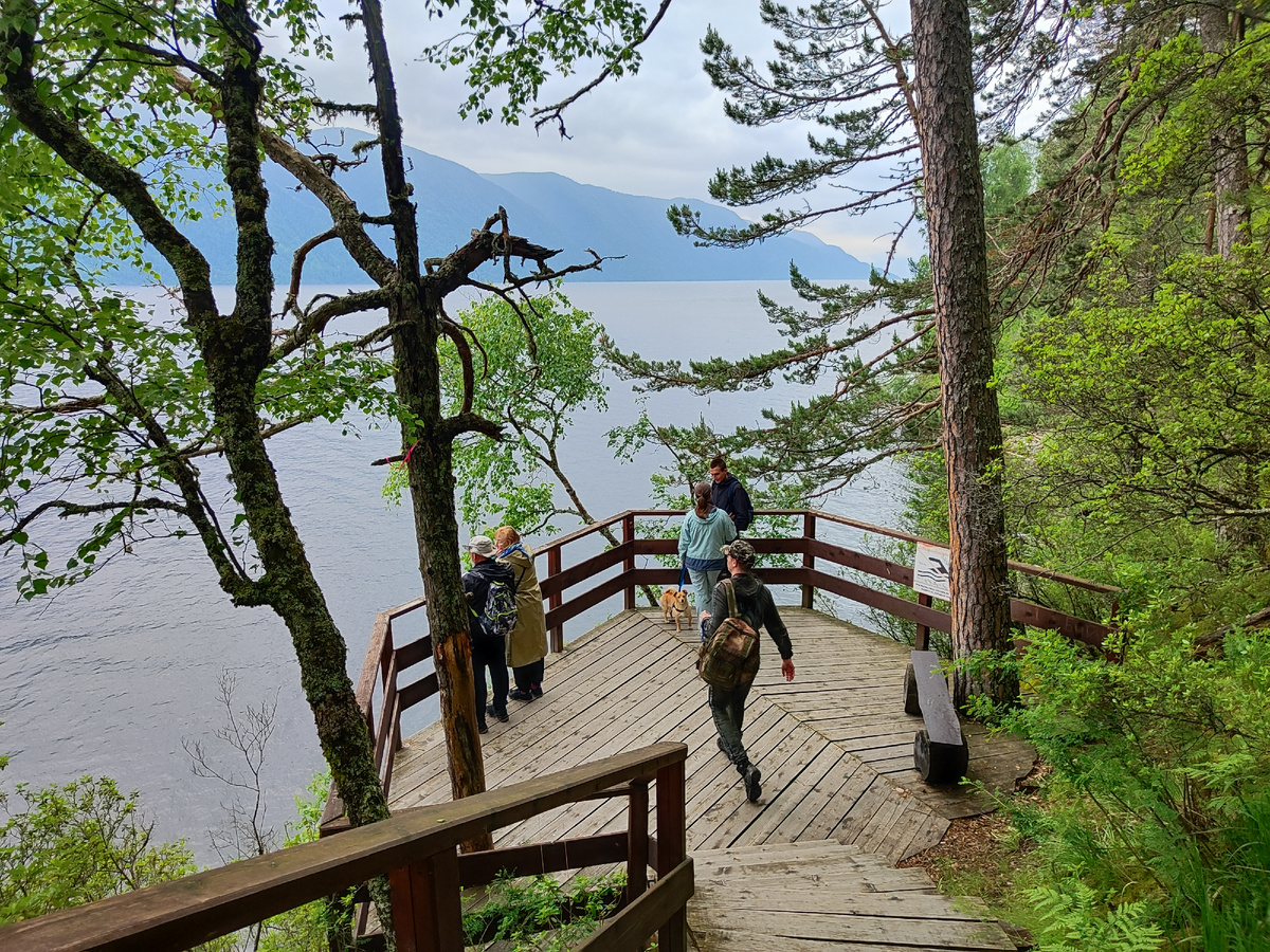 Одна из смотровых площадок на Телецком озере