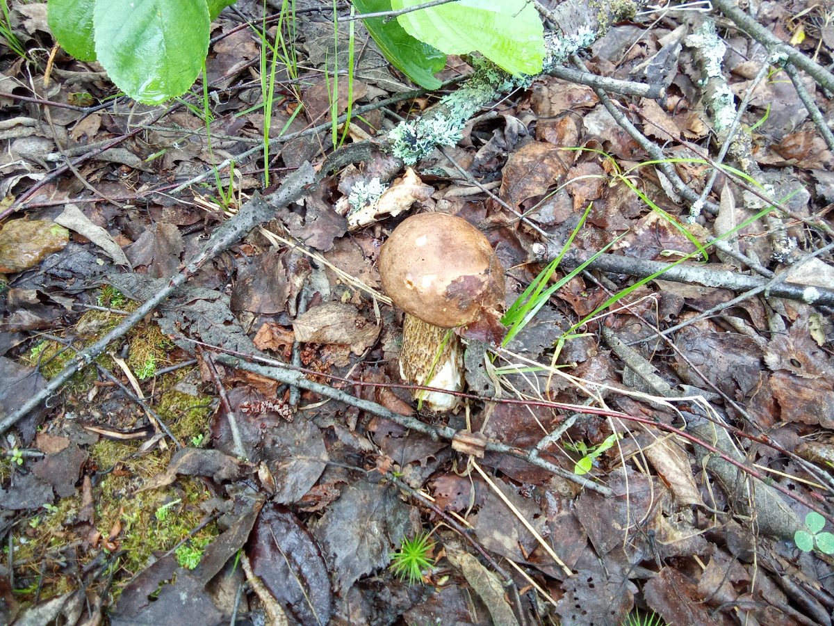 Фото Андрея Куликова. 22.06.25